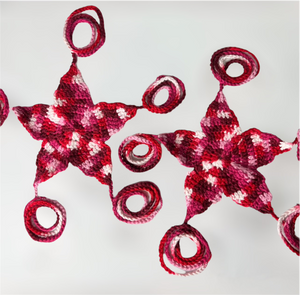 Star Struck Crochet Bralette